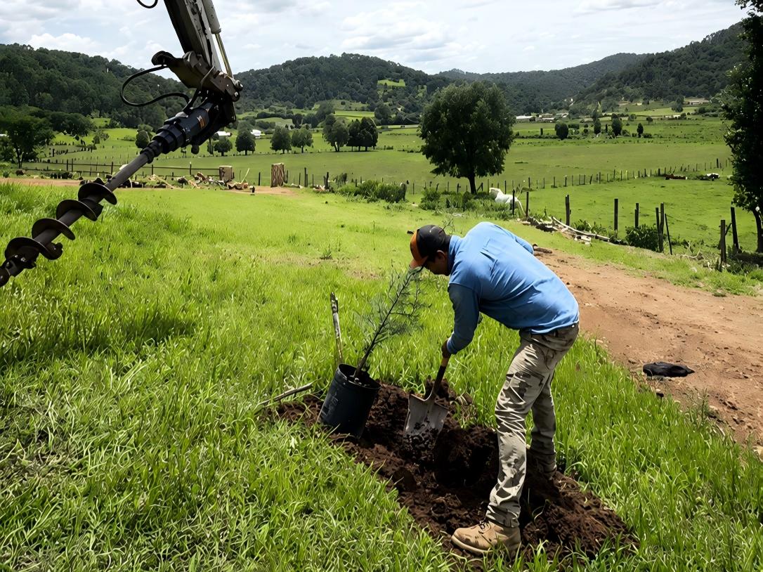 Como uma broca terrestre mudou a rotina de plantio de um agricultor no M&eacute;xico