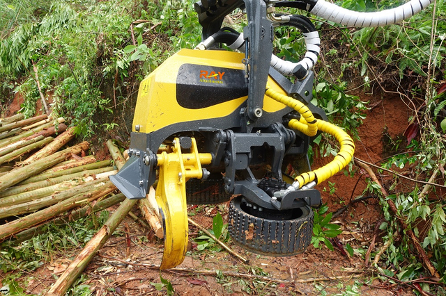 abatteuse d'arbres-1