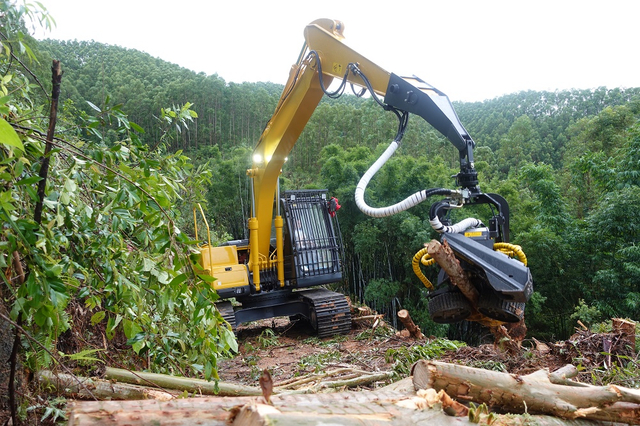 abatteuse d'arbres-2
